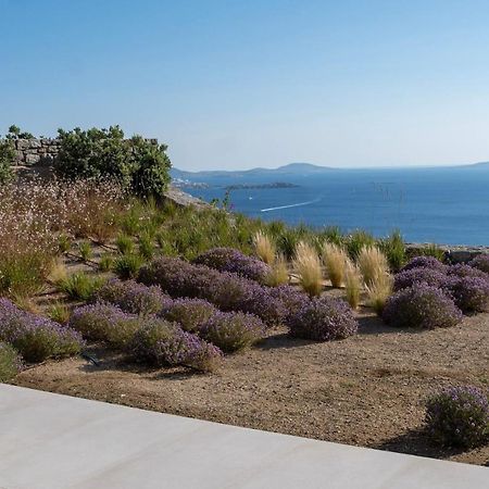 Zelia B&B & Villa Mykonos Town Ngoại thất bức ảnh